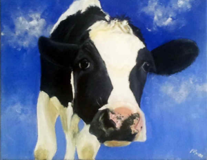 Inquisitive cow 30 x 40 cm